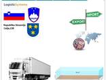 Автотранспортні вантажні перевезення з Целє в Целє разом з Logistic Systems - фото 8