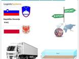 Автотранспортні вантажні перевезення з Крані в Крань разом з Logistic Systems - фото 8