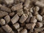 Brewing waste - photo 1