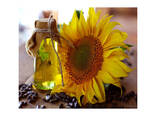Bulk Crude and Refined Sunflower 100% Pure Sunflower Cooking Oil Export - фото 1