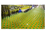 Buy Refined Sunflower Oil/Edible Cooking Oil Bulk Very Cheap - фото 1