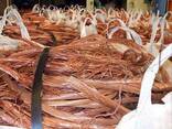 Electric Cable Copper Wire Scrap Direct Seller/99.9% Red Copper Wire Scrap/Cheap Copper - фото 1