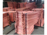 Factory Price Copper Cathodes Plates Sheet/Copper IngotBest supplier - photo 1