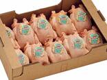 Top Quality Halal Frozen Whole chicken - фото 2