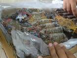Frozen Dungeness Crab / Live Blue Swimming Crab For Sale/ Norway Red King Crabs - фото 2