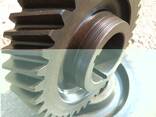 Gearwheel, gear, staft gear, toothed crown, gear box - фото 1
