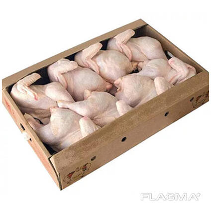 Top Quality Halal Frozen Whole chicken