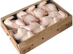 Top Quality Halal Frozen Whole chicken