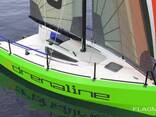 Lion 550 "Adrenaline" sail boat - фото 1