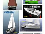 Lion450 Gaf Day cruiser - photo 4