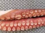 Мороженная рыба и морепродукты в Словению от производителя из КНР - photo 1