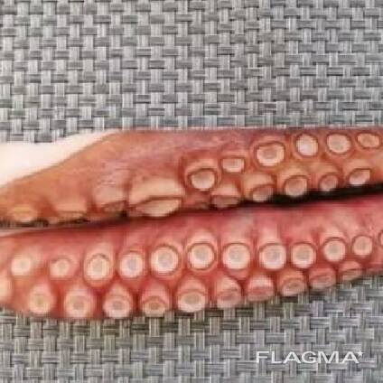 Мороженная рыба и морепродукты в Словению от производителя из КНР