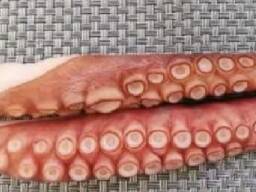 Мороженная рыба и морепродукты в Словению от производителя из КНР