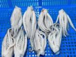 Мороженная рыба и морепродукты в Словению от производителя из КНР - фото 2