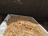 Fuel pellets | Hardwood | Wholesale - фото 1