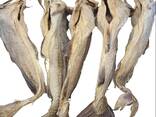 Premium Quality Dried Bombay Duck Fish / Dried Cod Fish Tosk Cod Fish - фото 1