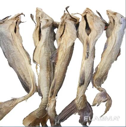 Premium Quality Dried Bombay Duck Fish / Dried Cod Fish Tosk Cod Fish