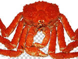 Quality Fresh/Frozen/Live Red King Crabs, Soft Shell Crabs for sale - фото 1