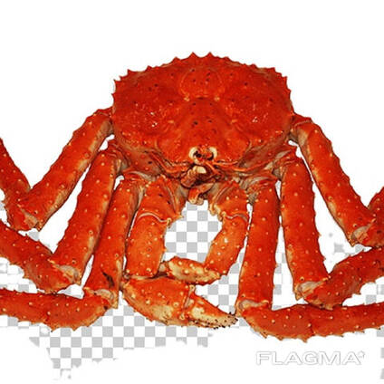 Quality Fresh/Frozen/Live Red King Crabs, Soft Shell Crabs for sale