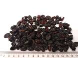 Raisins Red-Black (confectionery) - photo 2