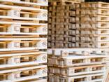 New Pine 1200 x 800 x 144 Epal Woods Euro Standard Single Faced Wood Pallet Available for - фото 1