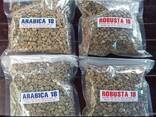 Green coffee, unroasted, assorted - фото 3