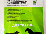 ZHYVYNA FOR ANIMALS (compound feed) - фото 1